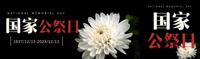 国家公祭日白菊花简约公众号封面图