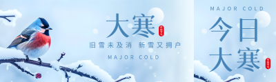 大寒时节鸟儿实景公众号封面图