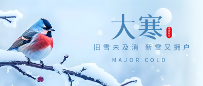 24节气大寒唯美景色微信公众号首图