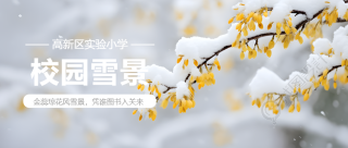 校园雪景诗意分享微信公众号首图