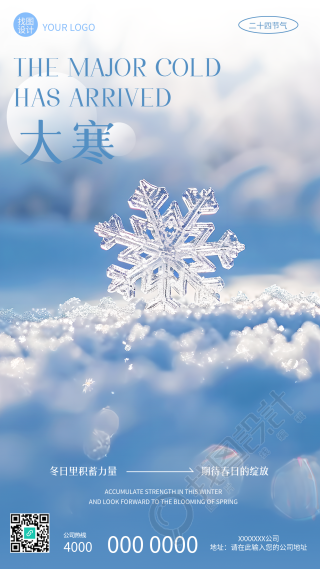 今日大寒唯美雪花实景手机海报