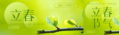 24节气立春嫩芽实景公众号封面图