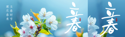 立春节气桃花实景公众号封面图