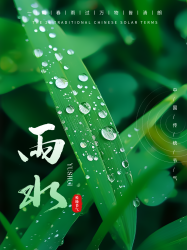 传统节气雨水创意小红书封面配图