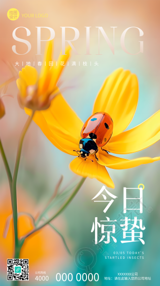 今日惊蛰鲜花实景创意手机海报