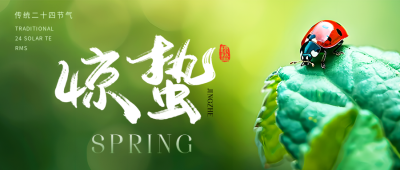 惊蛰习俗创意宣传微信公众号首图