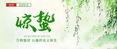 惊蛰时节唯美柳枝微信公众号首图