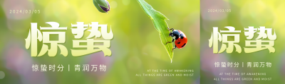 惊蛰时节瓢虫实景公众号封面图