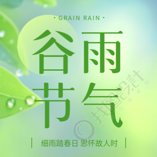 谷雨节气唯美光影微信公众号次图