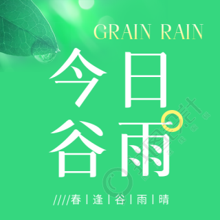 今日谷雨绿色简约微信公众号次图