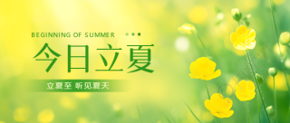 今日立夏唯美小黄花微信公众号首图