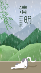 清明节下雨天远山猫咪柳条海报