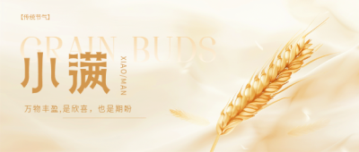 小满时节高级感微信公众号首图