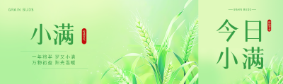24节气小满弥散风公众号封面图