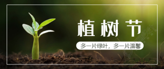 实景绿色植树节微信公众号首图