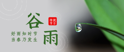 谷雨传统节日微信公众号首图