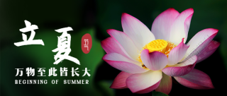 立夏节气祝福夏天荷花公众号首图