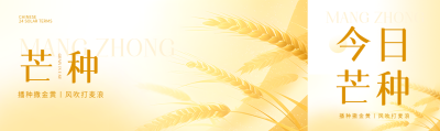24节气芒种弥散风公众号封面图