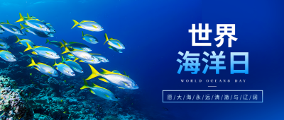 世界海洋日环保宣传微信公众号首图