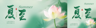 夏至时节唯美荷花公众号封面图