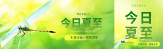 今日夏至蜻蜓实景公众号封面图
