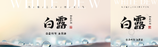 白露时节传统习俗公众号封面图