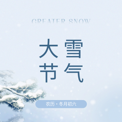 大雪节气唯美松枝微信公众号次图