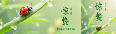 惊蛰时节实景宣传公众号封面图