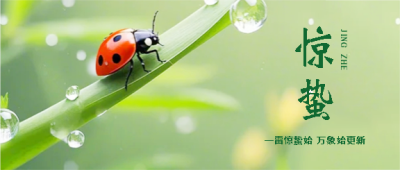 惊蛰节气春雷乍动微信公众号首图