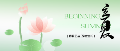 立夏时节荷花盛开微信公众号首图