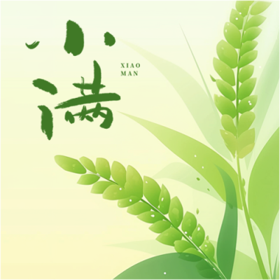 小满时节绿色渐变微信公众号次图