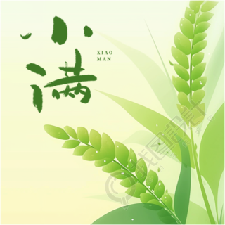 小满时节绿色渐变微信公众号次图