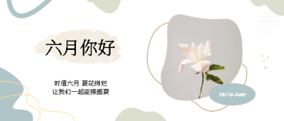六月你好唯美花卉实景微信公众号首图