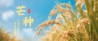 今日芒种忙于耕耘微信公众号首图