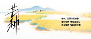 芒种北方收麦创意微信公众号首图