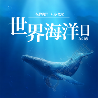 世界海洋日实景宣传微信公众号次图