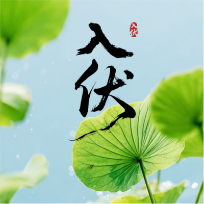 入伏时节简约通用微信公众号次图