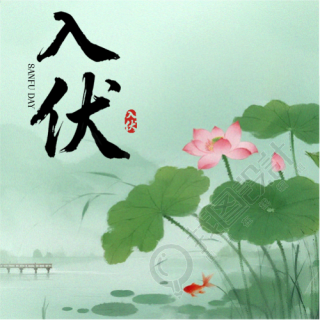 今日入伏小清新风格微信公众号次图
