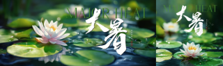 大暑节气荷花绽放公众号封面图