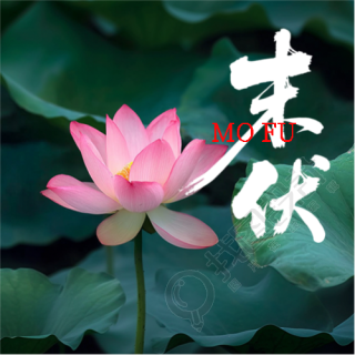 末伏谨防秋老虎微信公众号次图