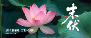 今日末伏秋风初起微信公众号首图
