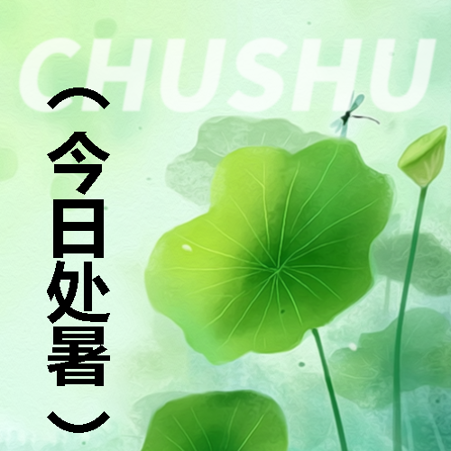 今日处暑小清新风微信公众号次图
