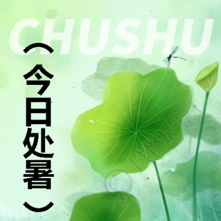 今日处暑小清新风微信公众号次图