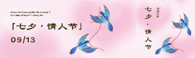 七夕情人节简约公众号封面图