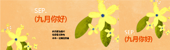九月你好鲜花简约公众号封面图