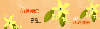 九月你好鲜花简约公众号封面图