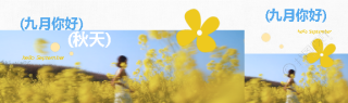 九月你好创意留白公众号封面图