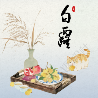 今日白露卡通猫咪微信公众号次图