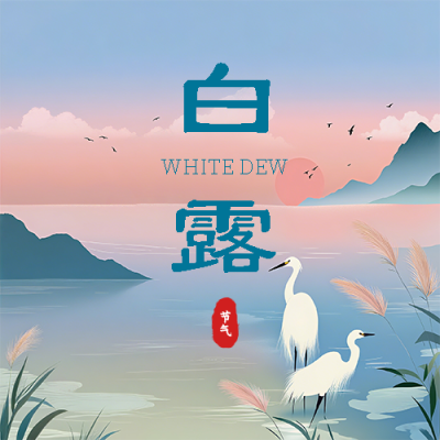 白露时节简约芦苇微信公众号次图