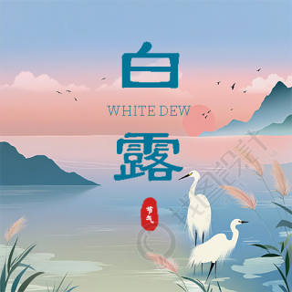 白露时节简约芦苇微信公众号次图